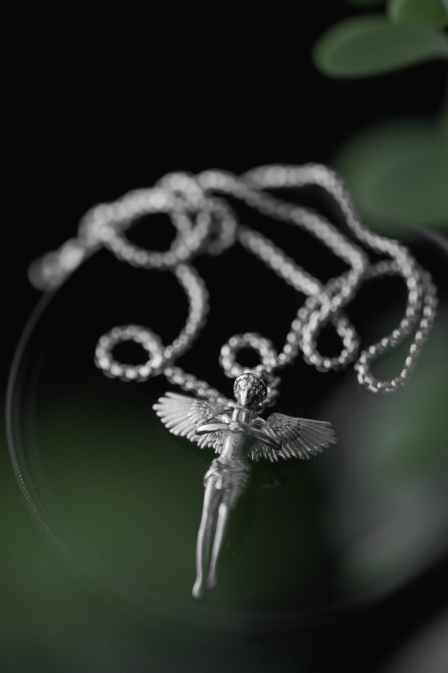 Angel Plata